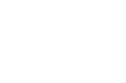 Bo AI